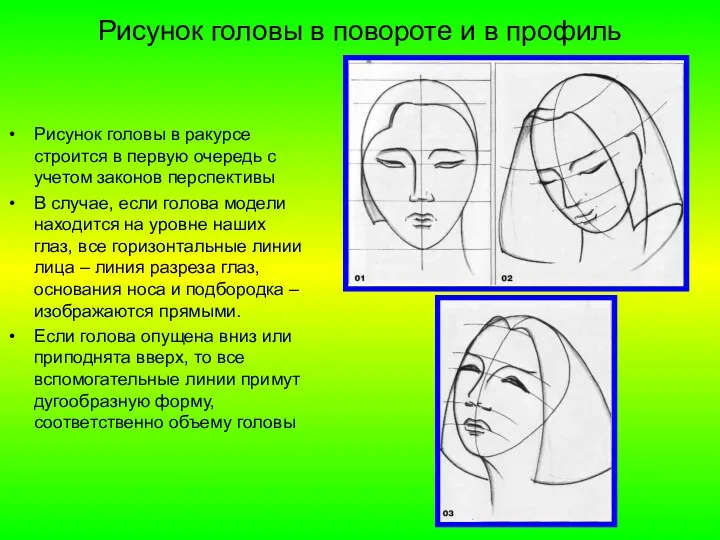 Рисунок головы в повороте и в профиль Рисунок головы в