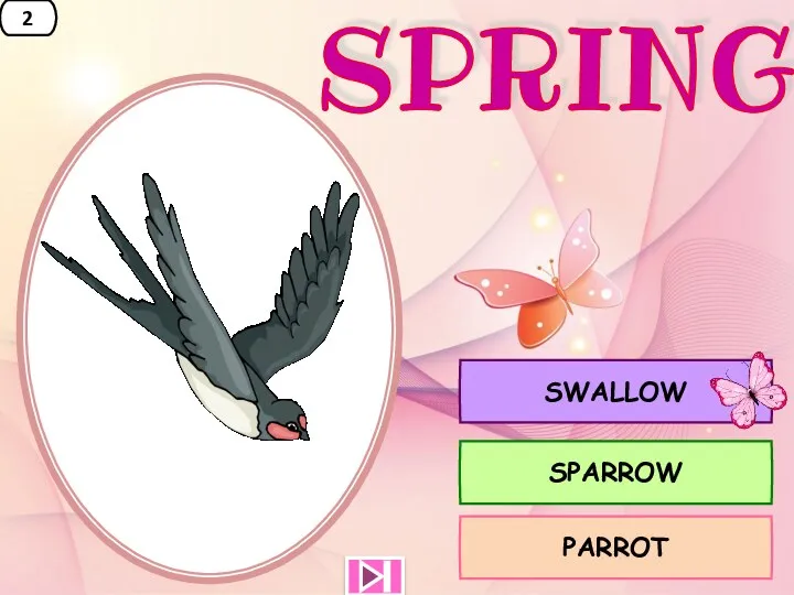 2 PARROT SPARROW SWALLOW SPRING