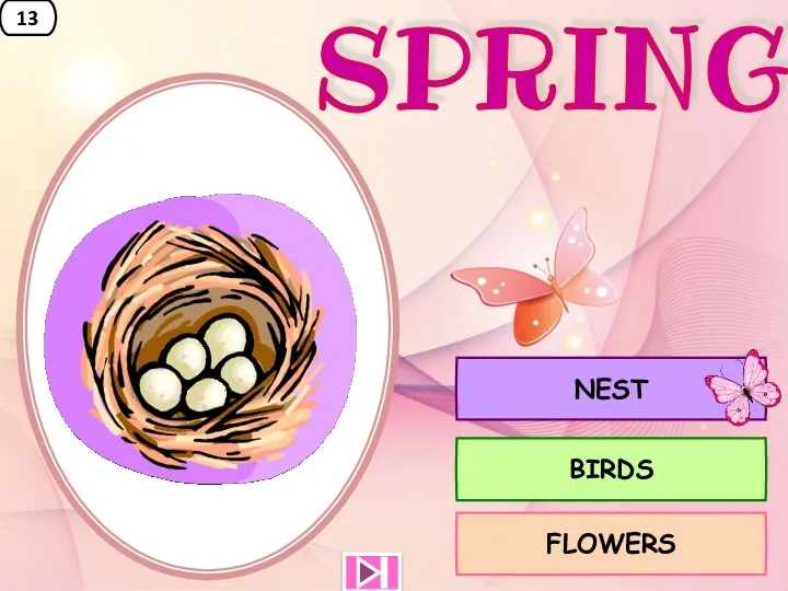 13 FLOWERS BIRDS NEST SPRING