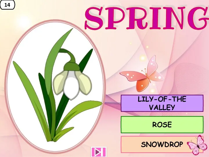 14 LILY-OF-THE VALLEY ROSE SNOWDROP SPRING