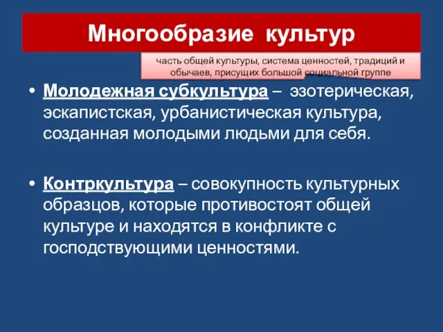 Многообразие культур Молодежная субкультура – эзотерическая, эскапистская, урбанистическая культура, созданная молодыми людьми для