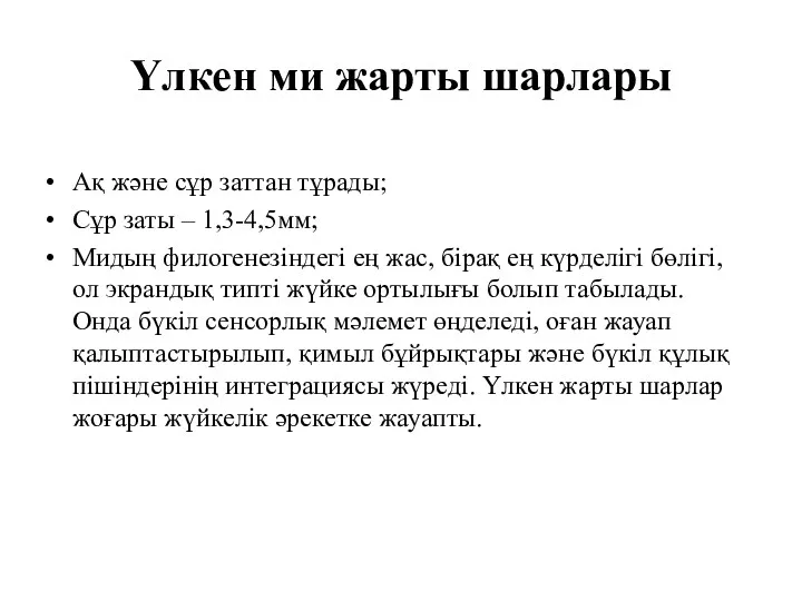 Үлкен ми жарты шарлары Ақ және сұр заттан тұрады; Сұр заты – 1,3-4,5мм;