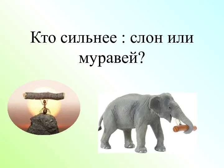 Кто сильнее : слон или муравей?