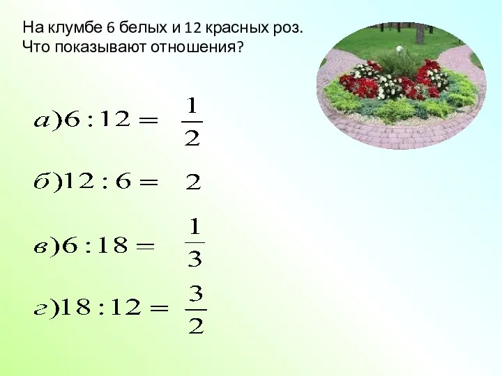 На клумбе 6 белых и 12 красных роз. Что показывают отношения?