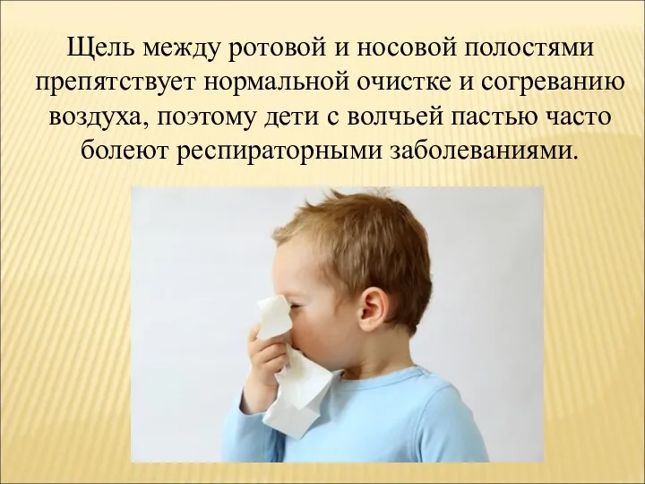 Щель между ротовой и носовой полостями препятствует нормальной очистке и