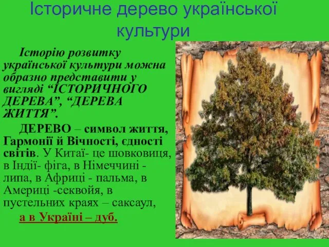 Історичне дерево української культури Історію розвитку української культури можна образно