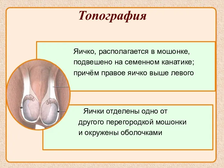 Топография