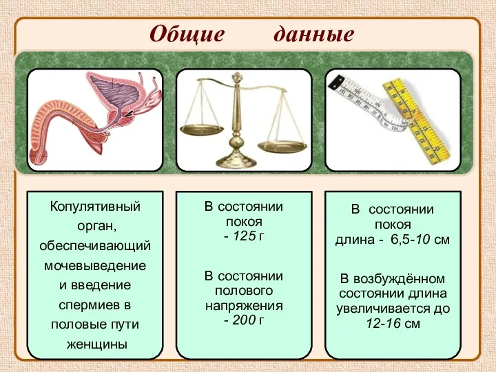 Общие данные