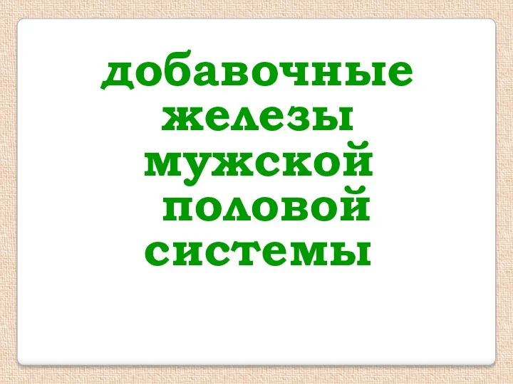 добавочные железы мужской половой системы