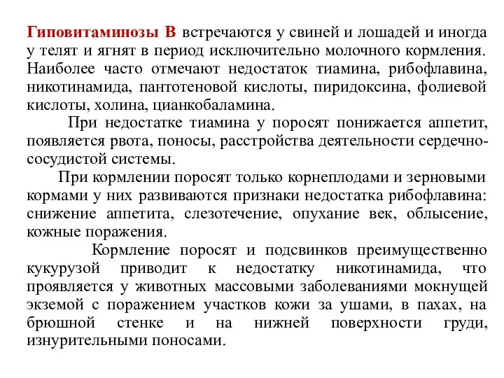 Гиповитаминозы В встречаются у свиней и лошадей и иногда у