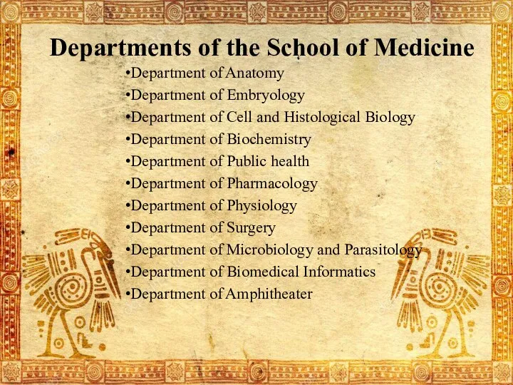 Departments of the School of Medicine Department of Anatomy Department