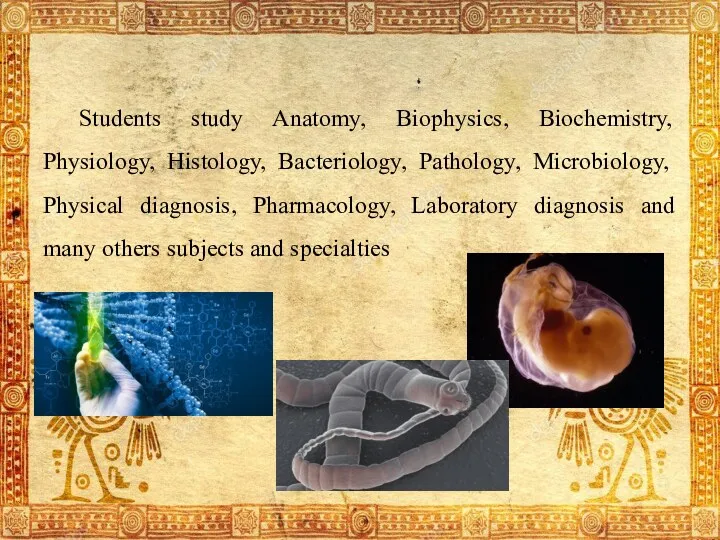 Students study Anatomy, Biophysics, Biochemistry, Physiology, Histology, Bacteriology, Pathology, Microbiology,