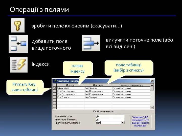 Операції з полями зробити поле ключовим (скасувати…) добавити поле вище