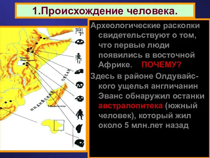 1.Происхождение человека. Археологические раскопки свидетельствуют о том, что первые люди