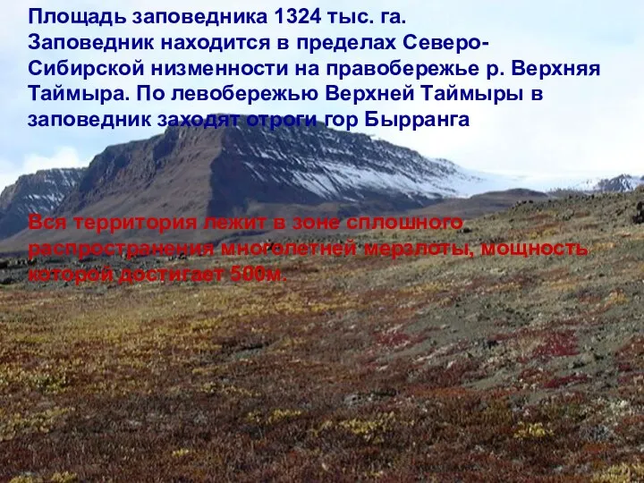 Площадь заповедника 1324 тыс. га. Заповедник находится в пределах Северо-Сибирской