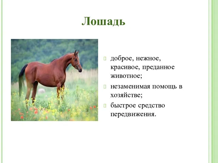 Лошадь доброе, нежное, красивое, преданное животное; незаменимая помощь в хозяйстве; быстрое средство передвижения.
