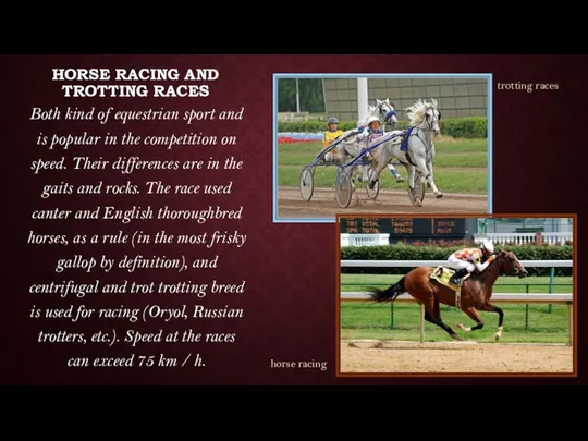 HORSE RACING AND TROTTING RACES Both kind of equestrian sport