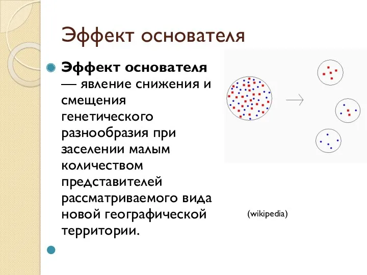 Эффект основателя Эффект основателя — явление снижения и смещения генетического