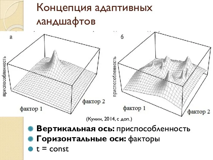 Концепция адаптивных ландшафтов Вертикальная ось: приспособленность Горизонтальные оси: факторы t = const (Кунин, 2014, с доп.)