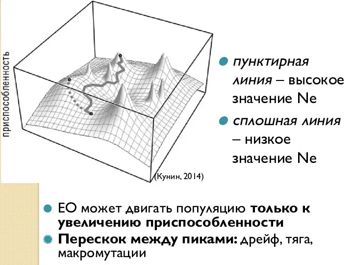 ЕО может двигать популяцию только к увеличению приспособленности Перескок между