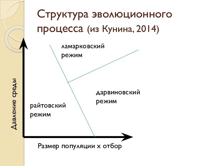 Структура эволюционного процесса (из Кунина, 2014) Размер популяции x отбор