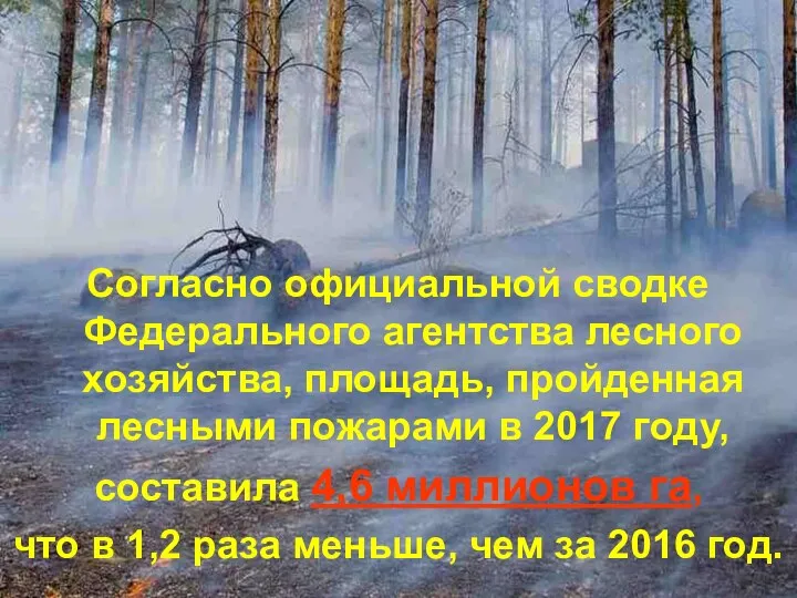 Согласно официальной сводке Федерального агентства лесного хозяйства, площадь, пройденная лесными пожарами в 2017