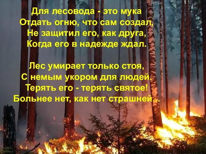 Для лесовода - это мука Отдать огню, что сам создал, Не защитил его,