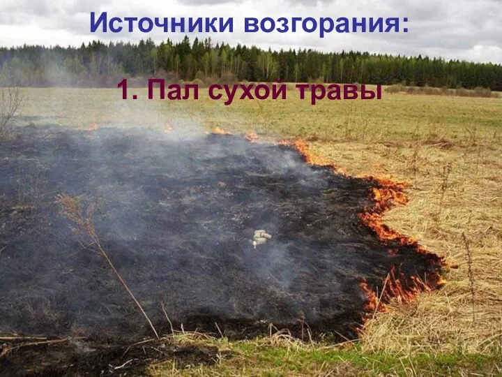 Источники возгорания: 1. Пал сухой травы