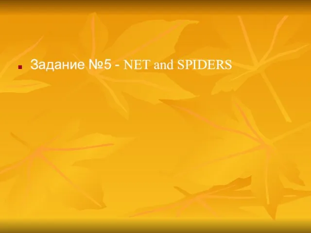Задание №5 - NET and SPIDERS