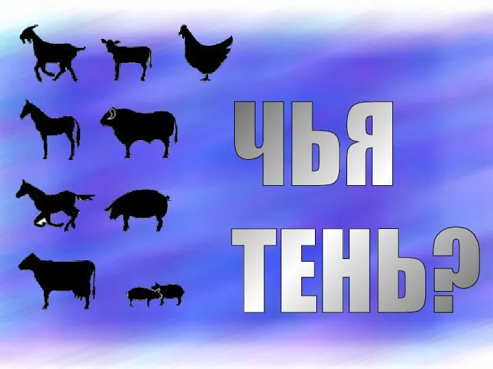 Чья тень (дом. ж. и птицы)