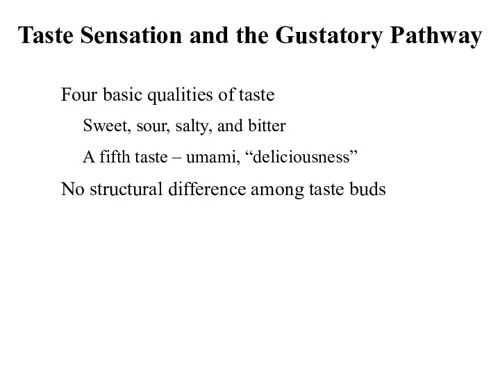 Taste Sensation and the Gustatory Pathway Four basic qualities of