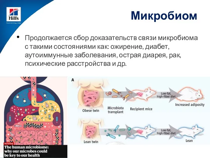 Продолжается сбор доказательств связи микробиома с такими состояниями как: ожирение,