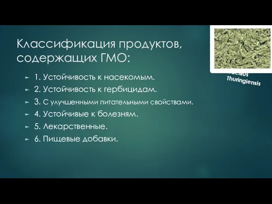 Классификация продуктов, содержащих ГМО: 1. Устойчивость к насекомым. 2. Устойчивость