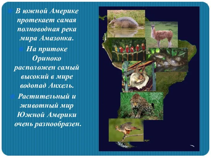 В южной Америке протекает самая полноводная река мира Амазонка. На притоке Ориноко расположен