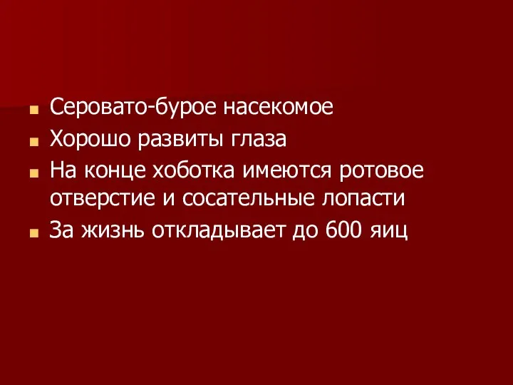 Серовато-бурое насекомое Хорошо развиты глаза На конце хоботка имеются ротовое