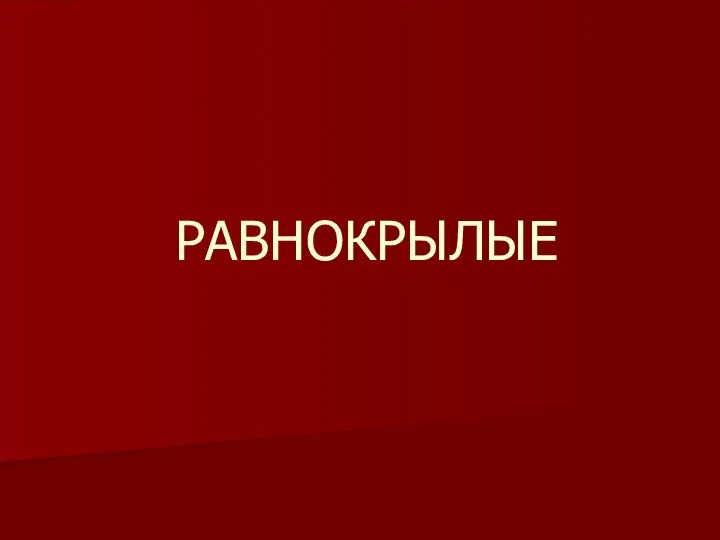 РАВНОКРЫЛЫЕ