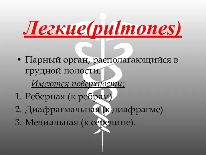 Легкие(pulmones) Парный орган, располагающийся в грудной полости. Имеются поверхности: Реберная