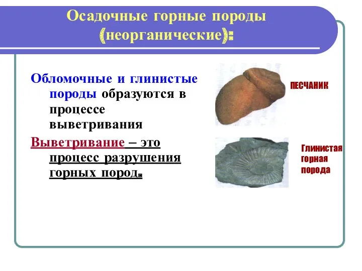 Осадочные горные породы (неорганические): Обломочные и глинистые породы образуются в