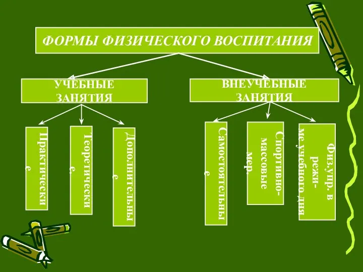 ФОРМЫ ФИЗИЧЕСКОГО ВОСПИТАНИЯ УЧЕБНЫЕ ЗАНЯТИЯ ВНЕУЧЕБНЫЕ ЗАНЯТИЯ Практические Теоретические. Дополнительные