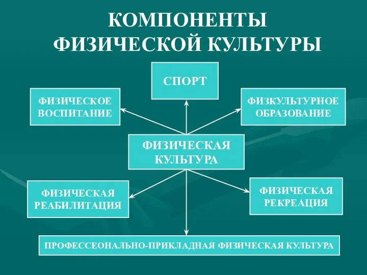 КОМПОНЕНТЫ ФИЗИЧЕСКОЙ КУЛЬТУРЫ ФИЗИЧЕСКАЯ КУЛЬТУРА ФИЗИЧЕСКОЕ ВОСПИТАНИЕ СПОРТ ФИЗКУЛЬТУРНОЕ ОБРАЗОВАНИЕ