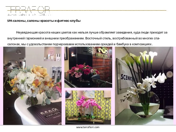 __________________________________________________________________________________________________ SPA-салоны, салоны красоты и фитнес-клубы Неувядающая красота наших цветов