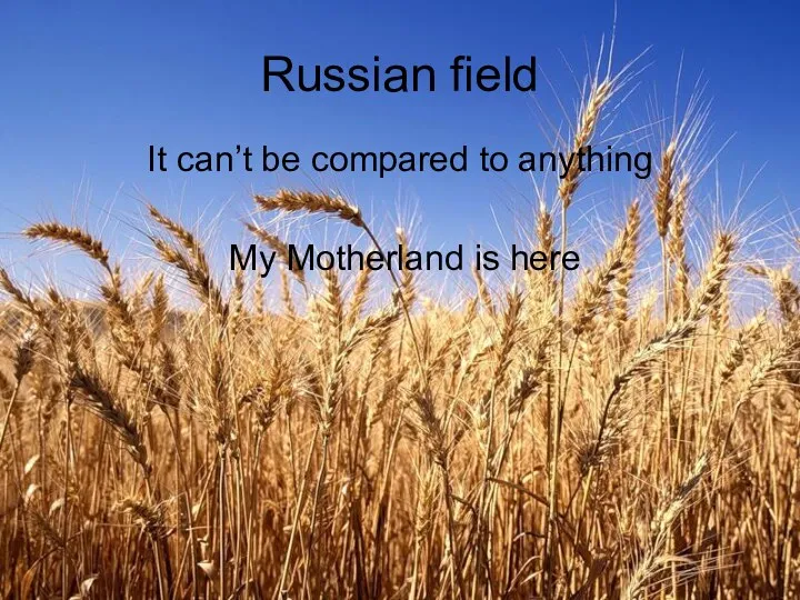 Russian field It can’t be compared to anything My Motherland is here