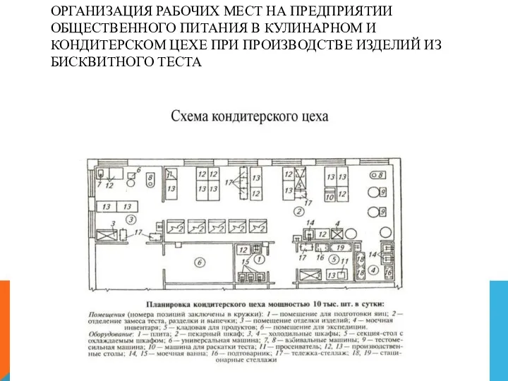 ОРГАНИЗАЦИЯ РАБОЧИХ МЕСТ НА ПРЕДПРИЯТИИ ОБЩЕСТВЕННОГО ПИТАНИЯ В КУЛИНАРНОМ И