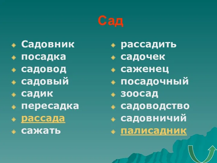 Сад Садовник посадка садовод садовый садик пересадка рассада сажать рассадить