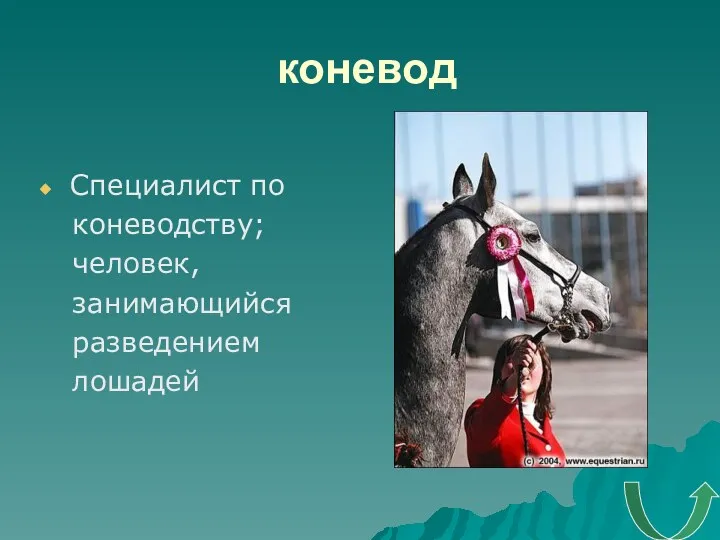 коневод Специалист по коневодству; человек, занимающийся разведением лошадей