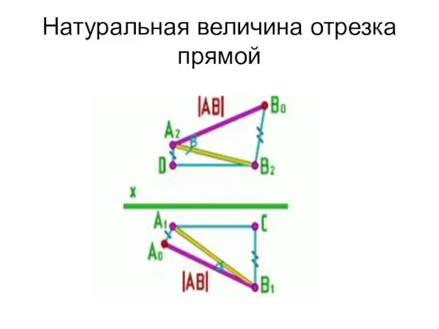 Натуральная величина отрезка прямой