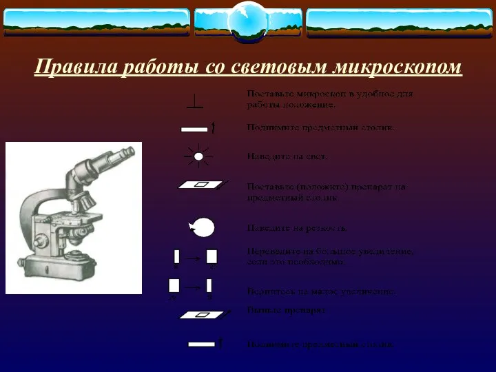 Правила работы со световым микроскопом