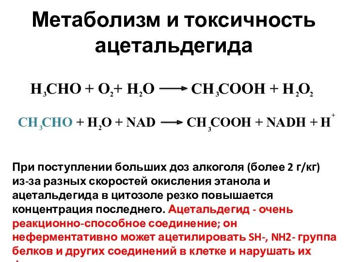 Метаболизм и токсичность ацетальдегида При поступлении больших доз алкоголя (более