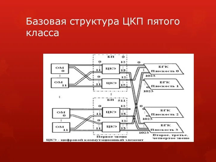 Базовая структура ЦКП пятого класса