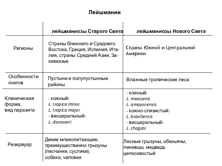 Лейшмании лейшманиозы Старого Света лейшманиозы Нового Света Страны ближнего и